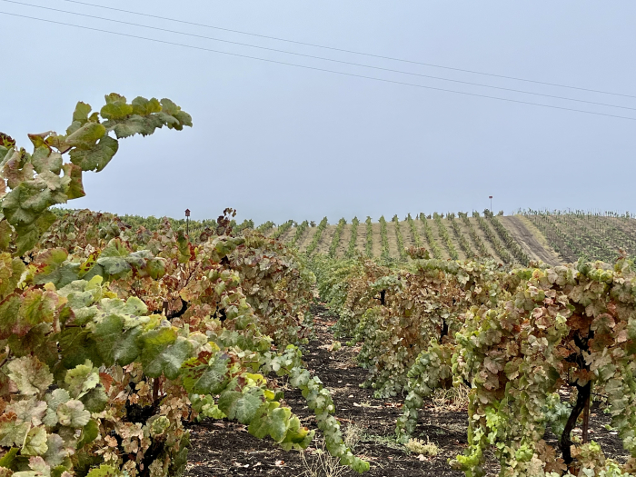 Long view over Tannat after the rain Long view over Tannat after the rain