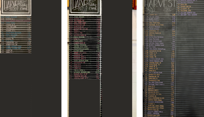 Chalkboards side-by-side Chalkboards side-by-side