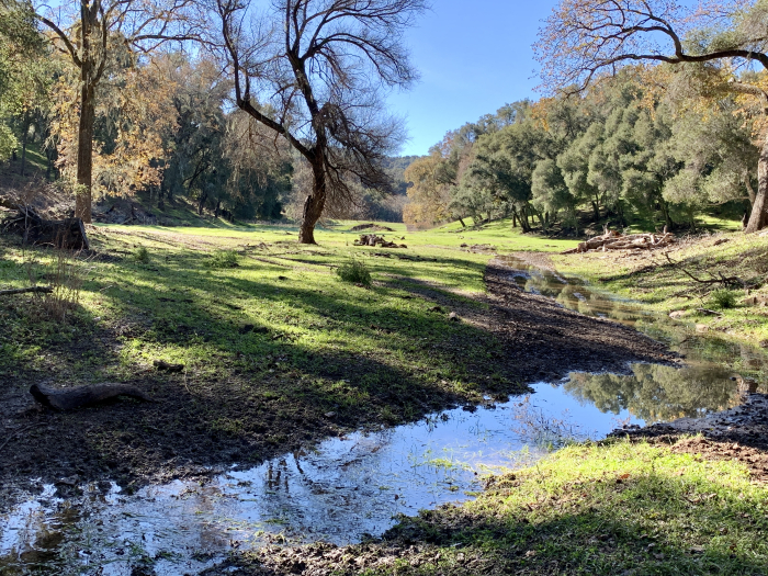 Las Tablas Creek Las Tablas Creek