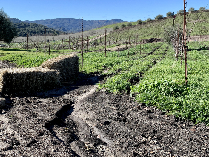 Erosion mitigation Erosion mitigation