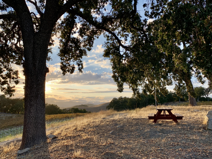 Picnic table at the top of the hill Picnic table at the top of the hill