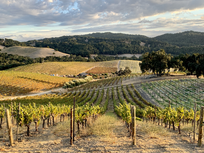 Long view looking south over Grenache Long view looking south over Grenache