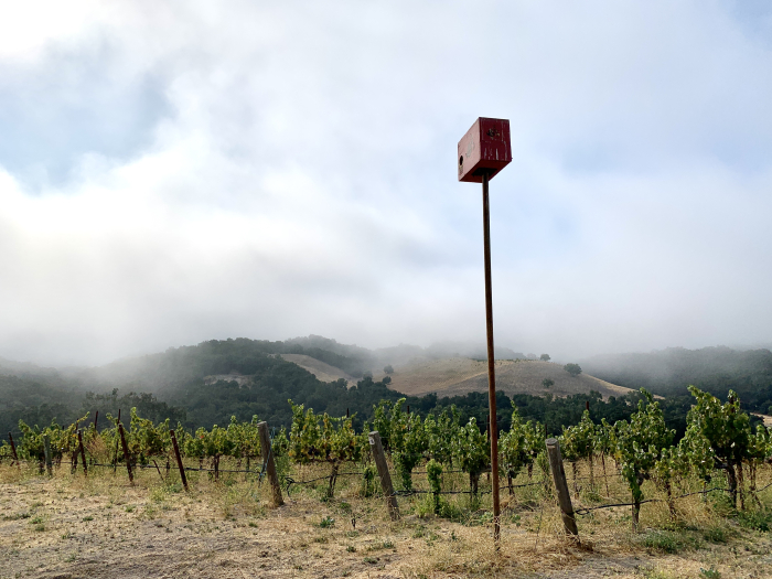 Owl box in harvest fog Owl box in harvest fog
