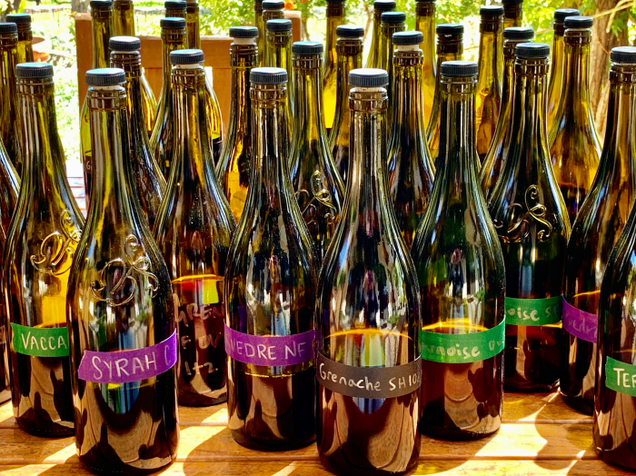 Blending bottles on patio - 2020 reds Blending bottles on patio - 2020 reds