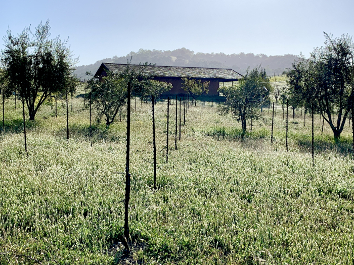 Green April 2021 - Straw Bale Barn Green April 2021 - Straw Bale Barn
