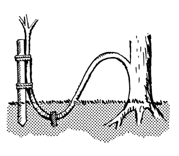 Layering diagram Layering diagram