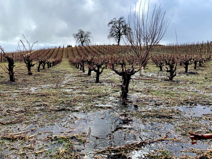 Standing Water after January 2021 storm Standing Water after January 2021 storm