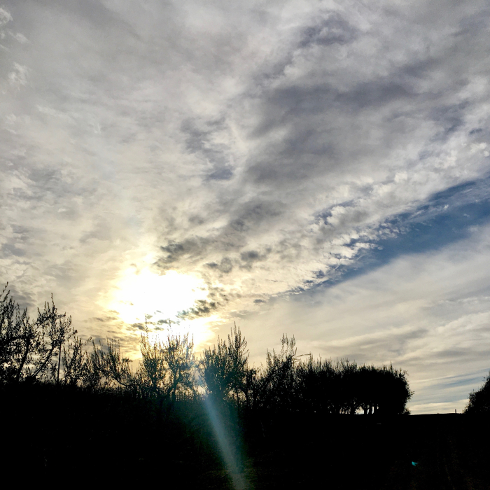 Seb - Winter sun Seb - Winter sun