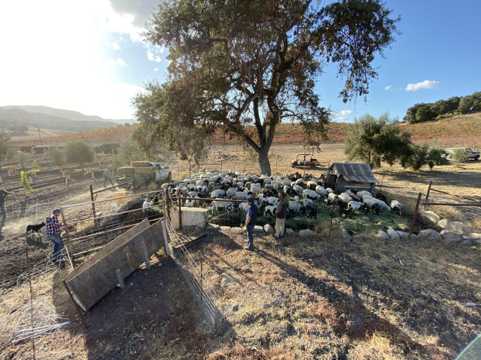 Biochar - overview Biochar - overview