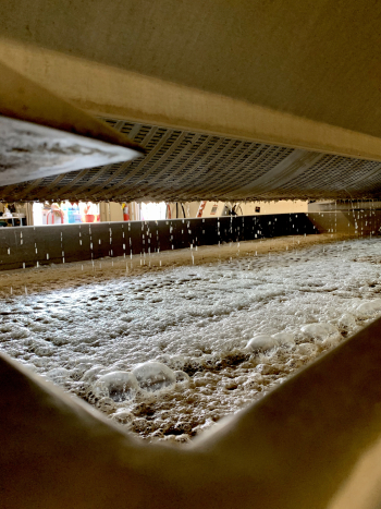 Roussanne in the press Roussanne in the press