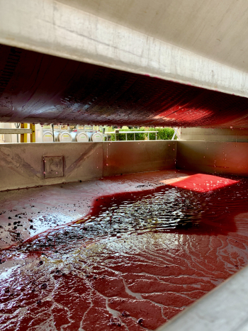 Mourverdre in the press Mourverdre in the press