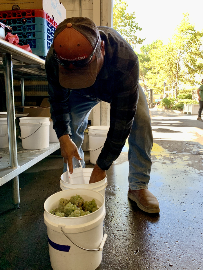 David sampling Roussanne and Grenache David sampling Roussanne and Grenache