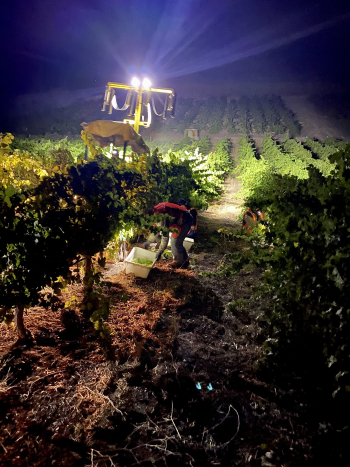 Night Harvest 2 Night Harvest 2
