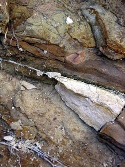 Wet limestone