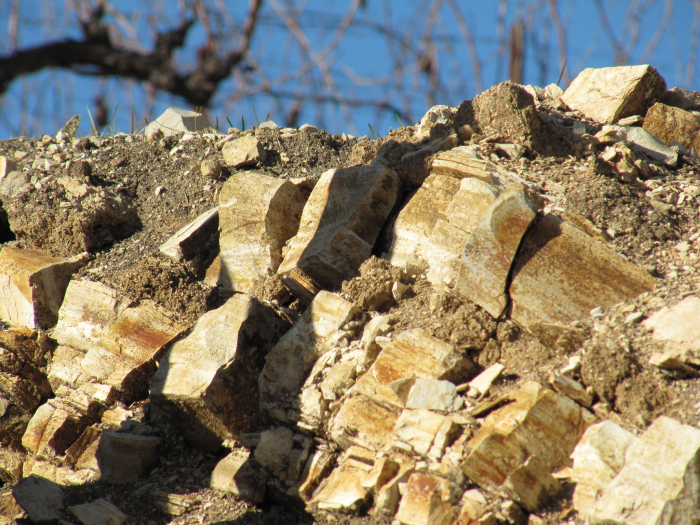 Tablas Creek - Calcareous Rocks and Vines Tablas Creek - Calcareous Rocks and Vines