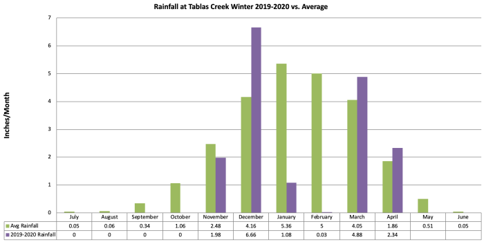 Winter Rainfall Graph 2019-20 vs Average Winter Rainfall Graph 2019-20 vs Average