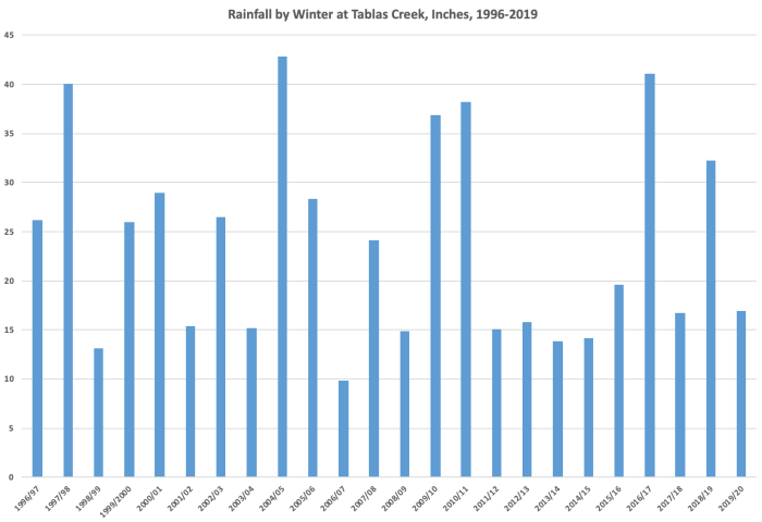 Rainfall by Winter 1996-2020 Rainfall by Winter 1996-2020