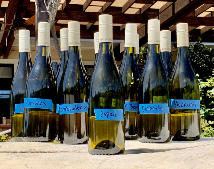 2019 white blends post-blending 2019 white blends post-blending