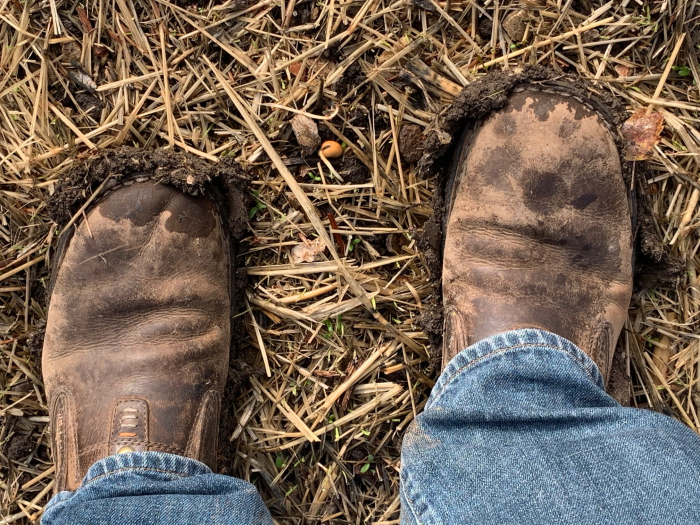 Muddy boots Muddy boots