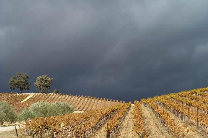 Dark clouds over Tablas Creek Nov 2015 Dark clouds over Tablas Creek Nov 2015