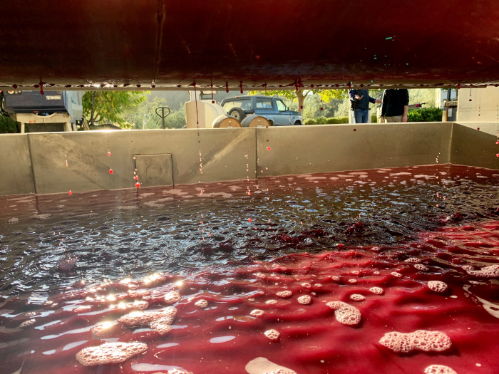 Mourvedre in the press Mourvedre in the press