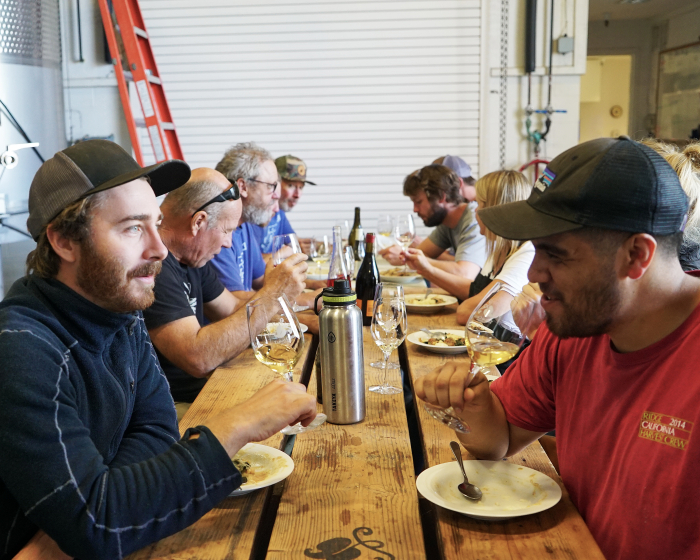 Wine Harvest Interns Staredown Wine Harvest Interns Staredown