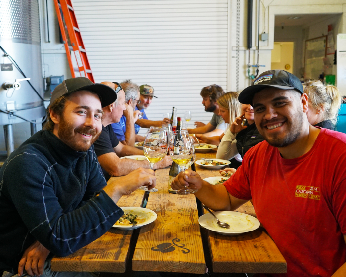Wine Harvest Interns Wine Harvest Interns