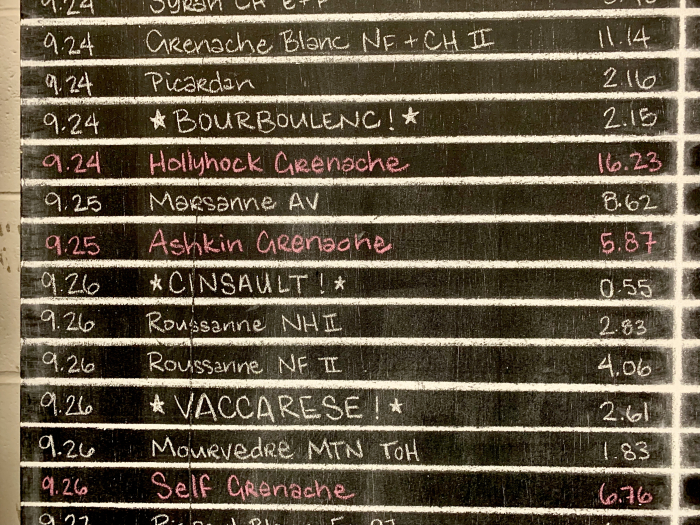 New Grapes on Chalkboard New Grapes on Chalkboard