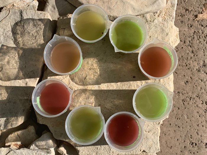 Mid-Sept Harvest - Samples Mid-Sept Harvest - Samples