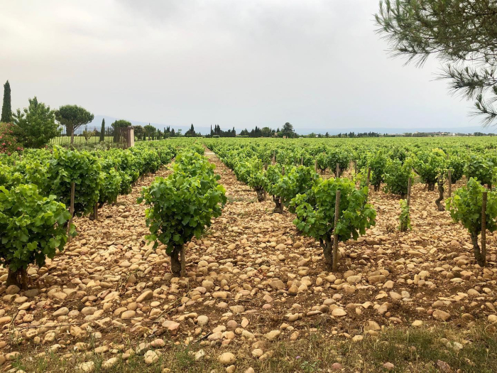 Beaucastel Beaucastel