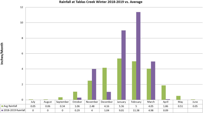 Winter Rainfall Graph 2018-19 Winter Rainfall Graph 2018-19