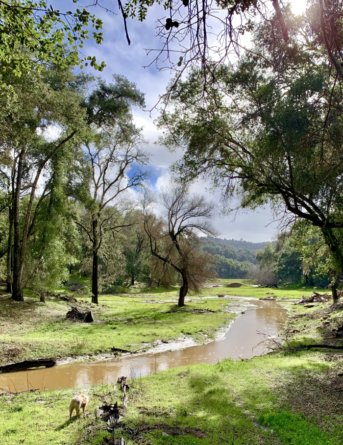 Las Tablas Creek Las Tablas Creek