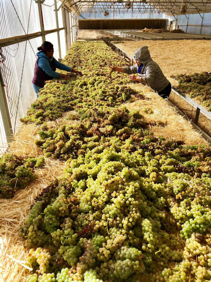 Roussanne on the straw Roussanne on the straw