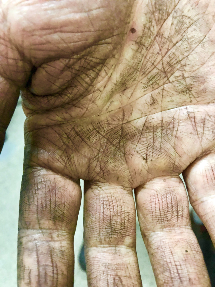 Harvest Hand Harvest Hand