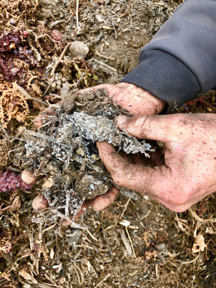 Jordy compost closeup Jordy compost closeup