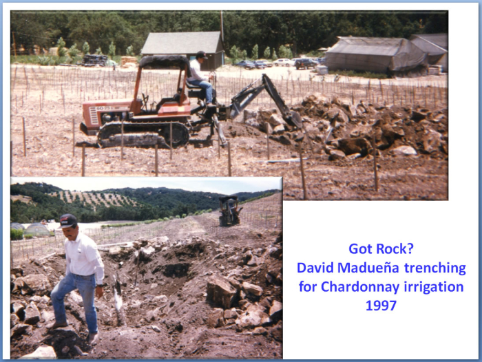 David Maduena David Maduena