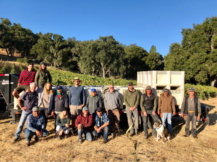 Full Circle Pinot harvest - Team photo Full Circle Pinot harvest - Team photo