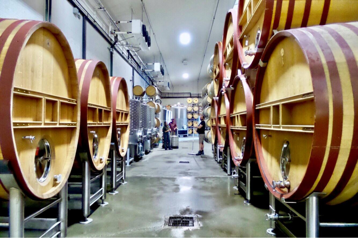 Clean cellar with new foudres August 2018 Clean cellar with new foudres August 2018