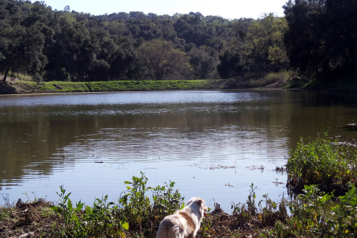 Lake Ramage Lake Ramage