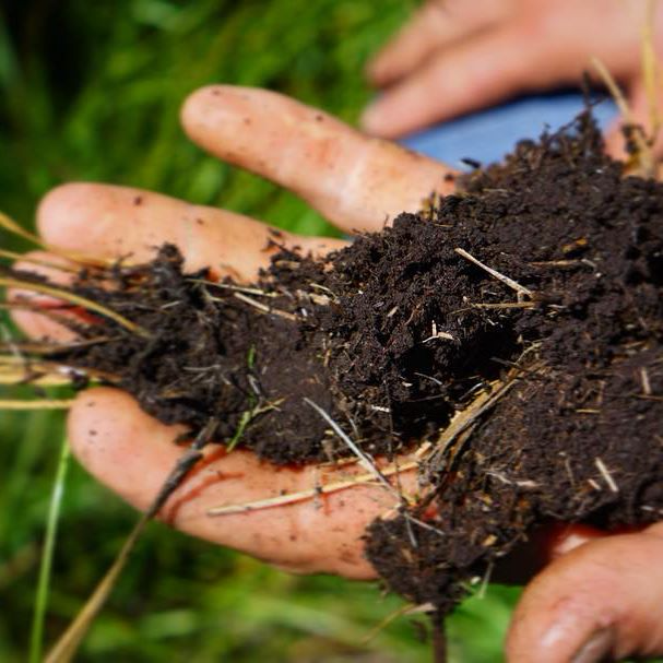Soil Soil