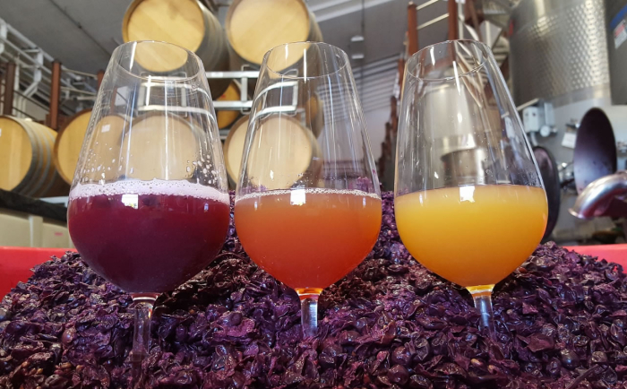 Three colors of grenache