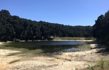 Lake Ramage Lake Ramage