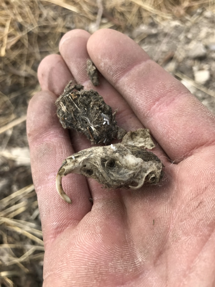 Image1 Image1