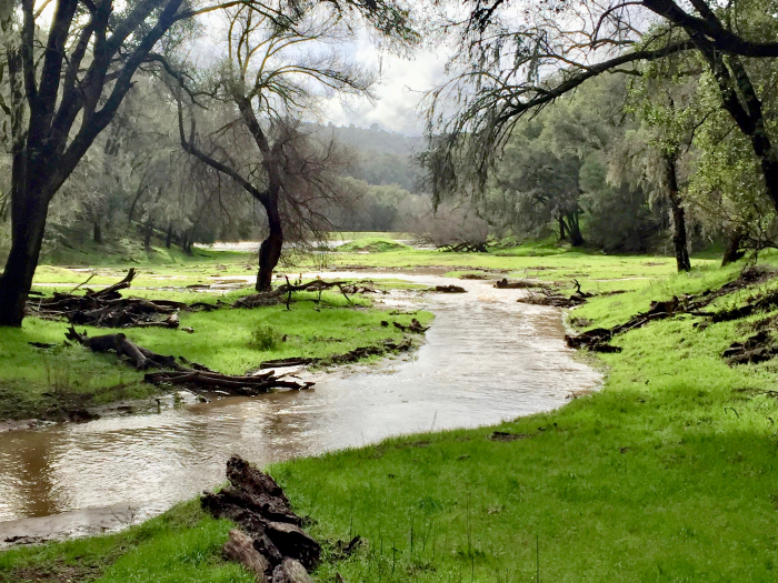 Las Tablas Creek Feb 2017 Las Tablas Creek Feb 2017
