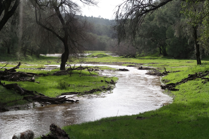 Tablas Creek Valley Tablas Creek Valley
