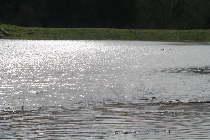 Lake Ramage Lake Ramage