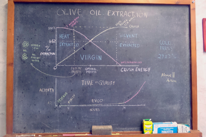 Olive Oil Process Olive Oil Process