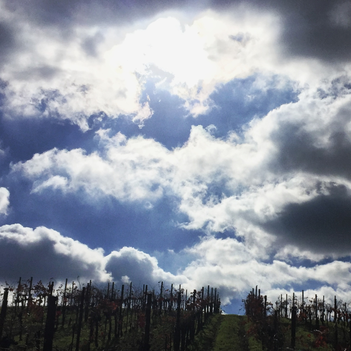 Daytime sky Daytime sky