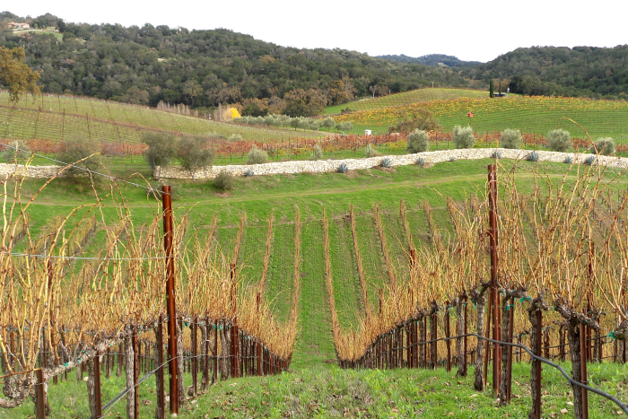 Dormant hillside Dormant hillside