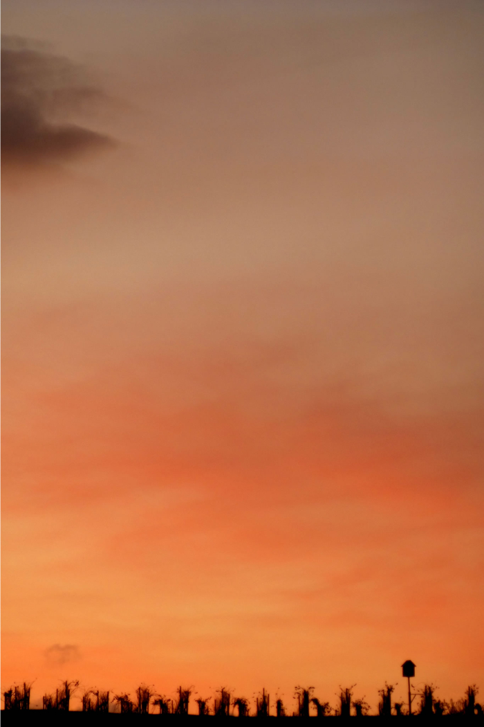 Sunset Sunset